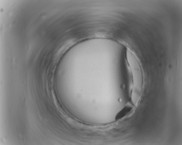 X0000061150001200512092011