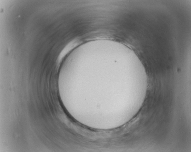 X0000061150004200512092011