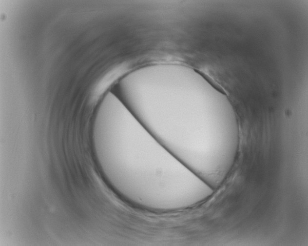 X0000061150005200512092011