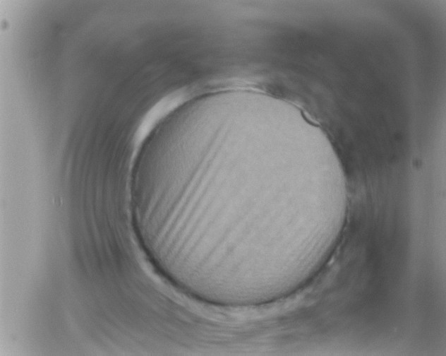 X0000061150006200512092011