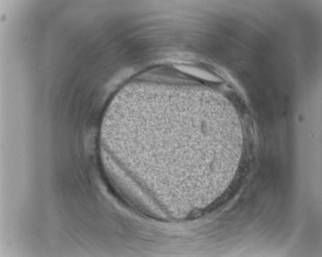 X0000061150010200512092011