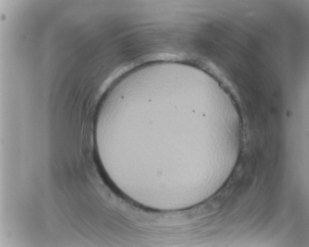 X0000061150011200512092011