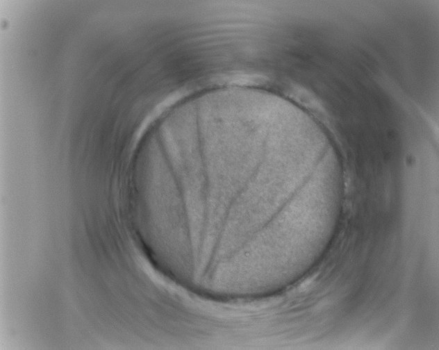 X0000061150012200512092011