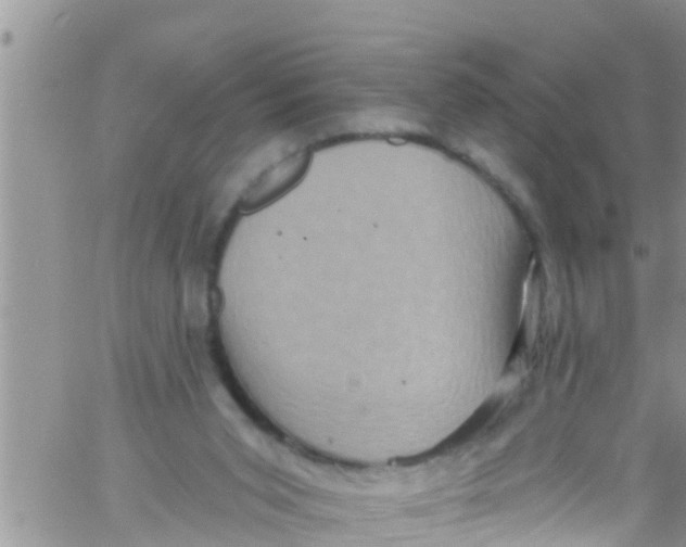 X0000061150015200512092011