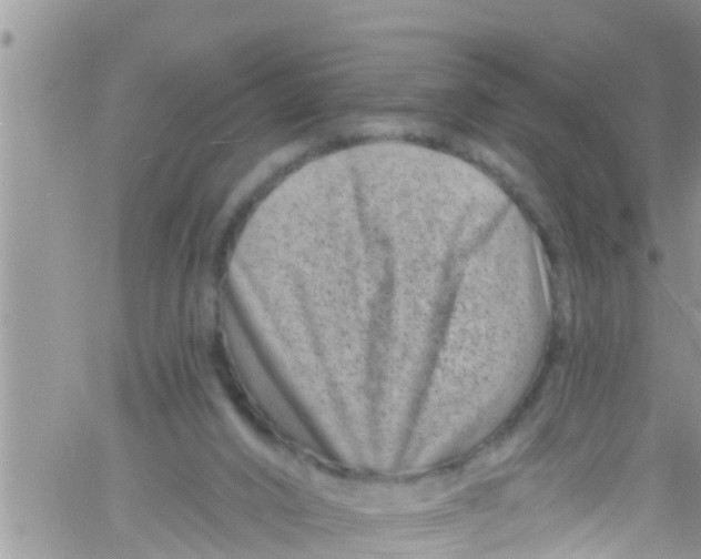 X0000061150016200512092011