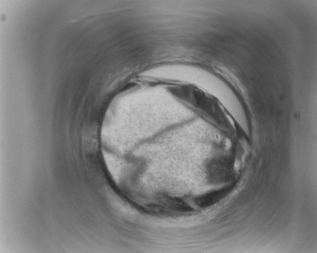 X0000061150017200512092011