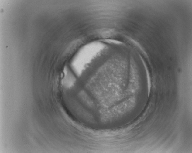 X0000061150018200512092011