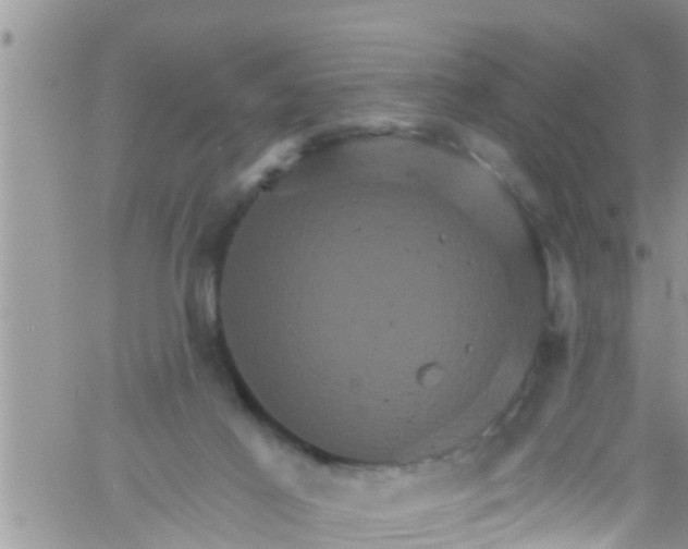 X0000061150021200512092011