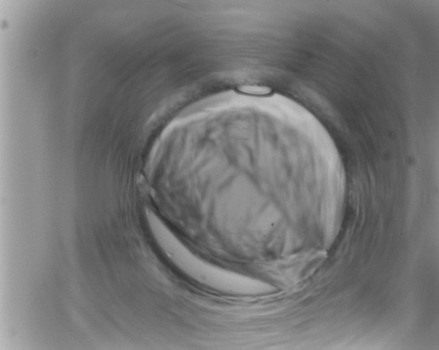 X0000061150023200512092011