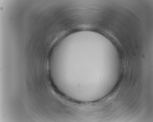 X0000061150024200512092011