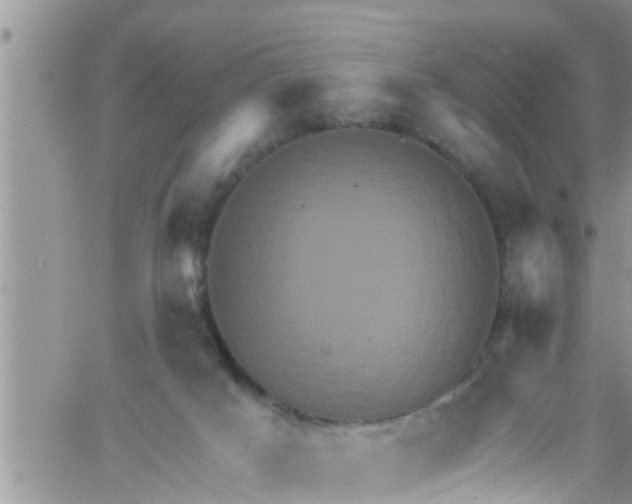 X0000061150025200512092011