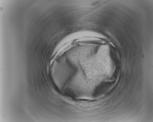 X0000061150026200512092011