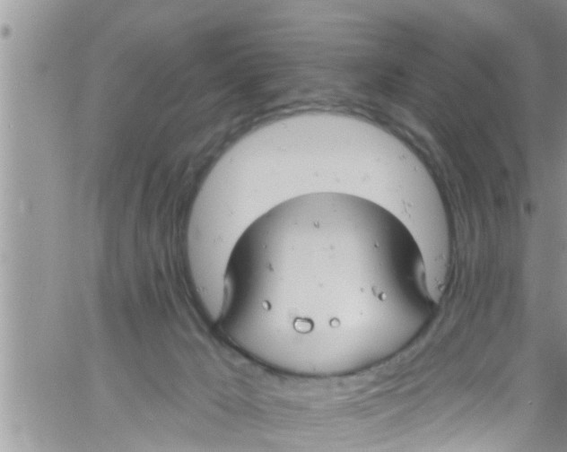 X0000061150029200512092011