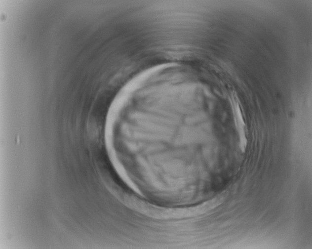 X0000061150031200512092011