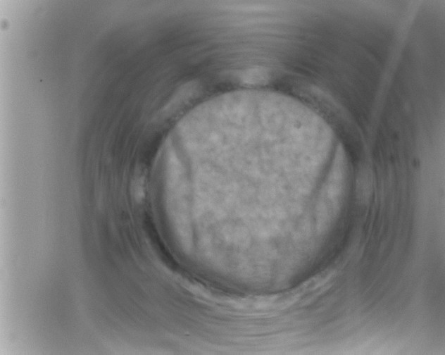 X0000061150032200512092011