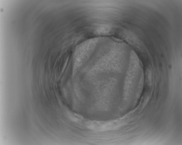 X0000061150033200512092011