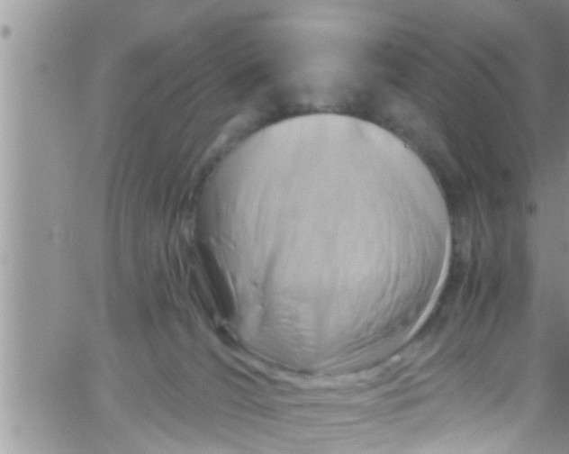 X0000061150036200512092010