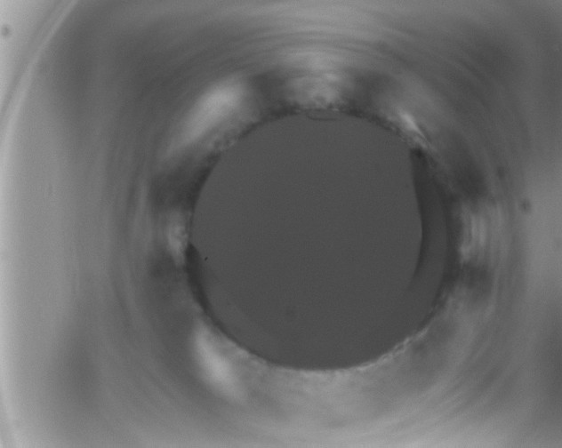 X0000061150037200512092010