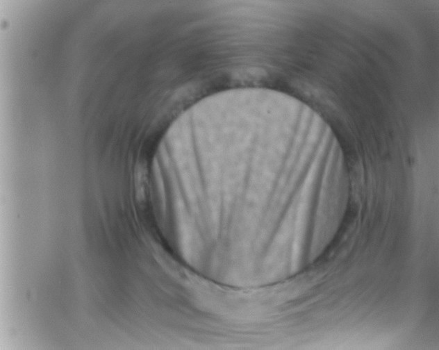 X0000061150038200512092010