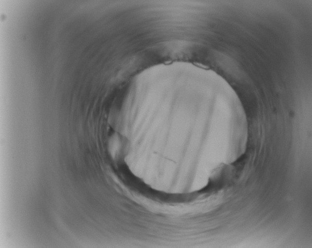 X0000061150039200512092010