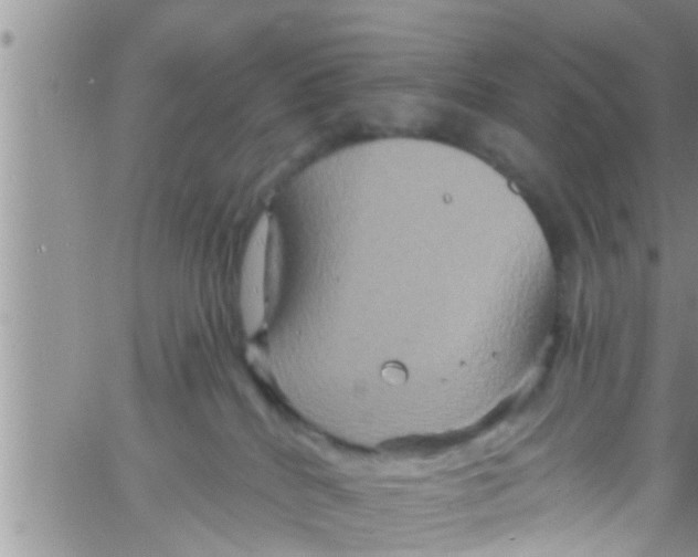 X0000061150040200512092010