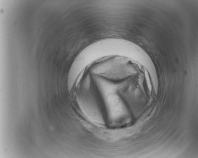 X0000061150041200512092010