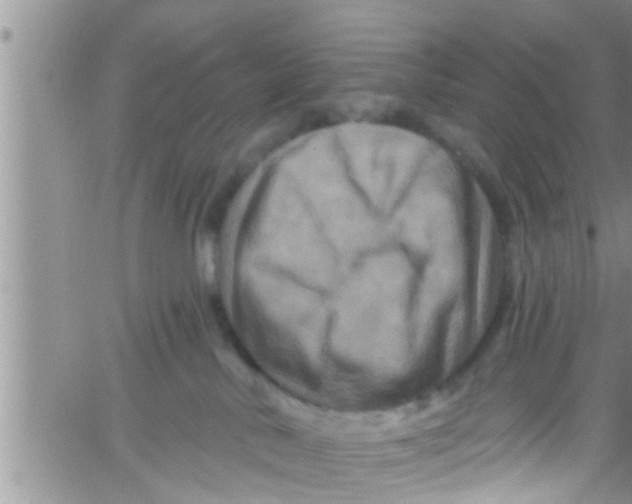 X0000061150042200512092010