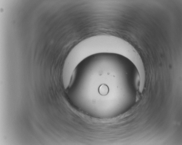 X0000061150043200512092010