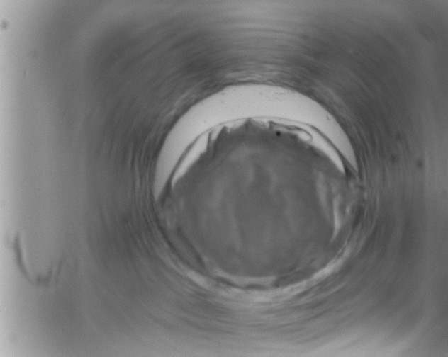 X0000061150045200512092010