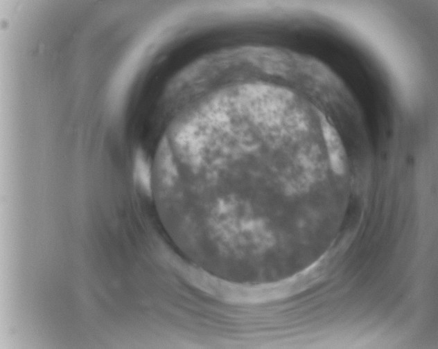 X0000061150047200512092010