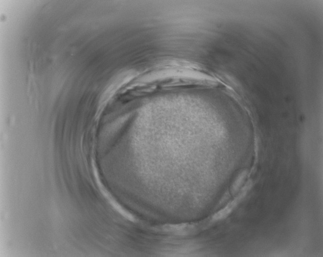 X0000061150049200512092009