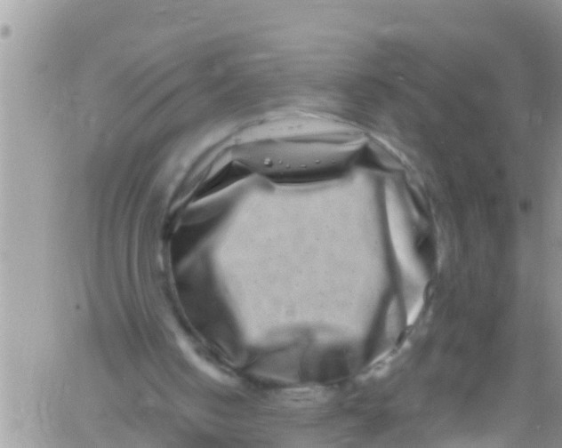 X0000061150050200512092010