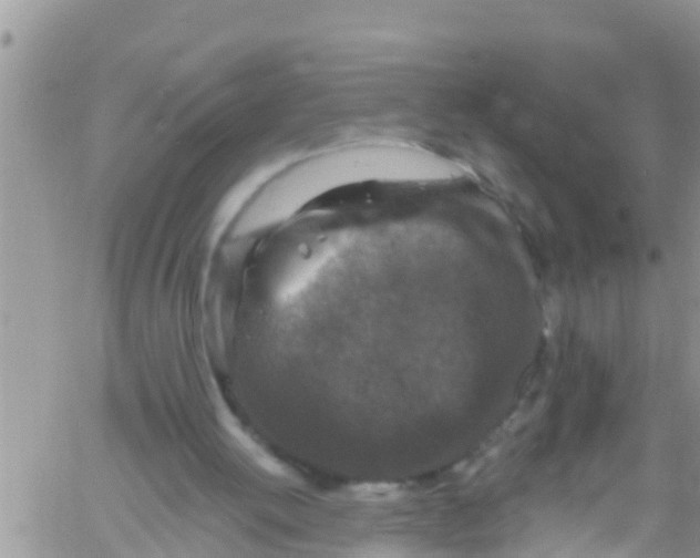 X0000061150052200512092010