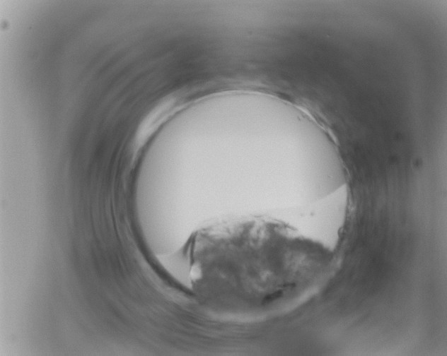 X0000061150053200512092010