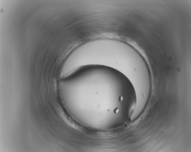 X0000061150057200512092010