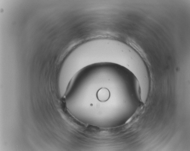 X0000061150058200512092010