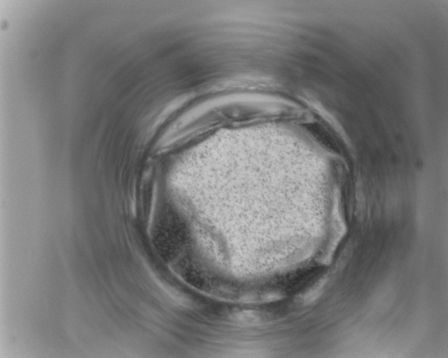 X0000061150062200512092010