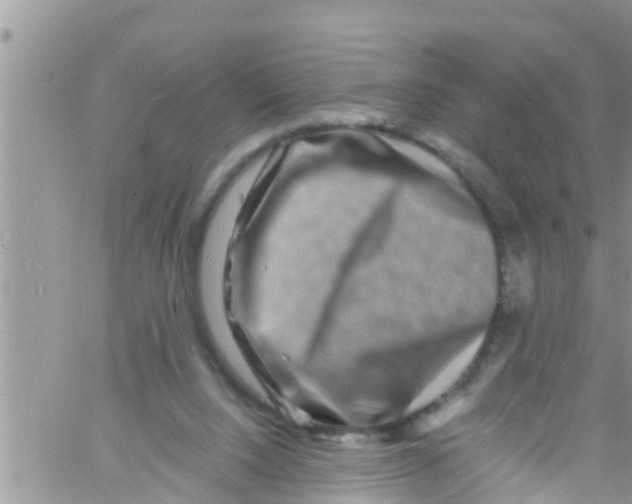 X0000061150064200512092010