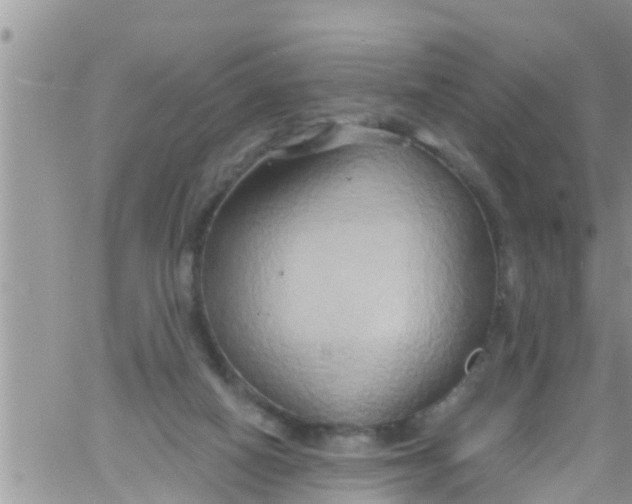 X0000061150066200512092010