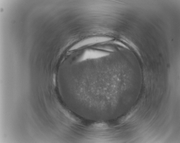 X0000061150067200512092010