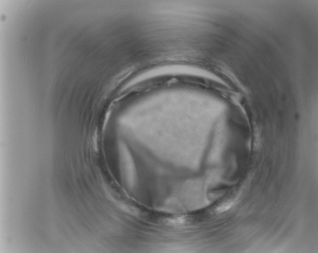 X0000061150068200512092010