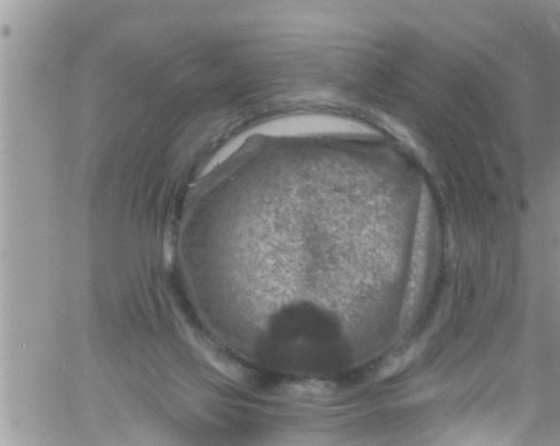 X0000061150069200512092010