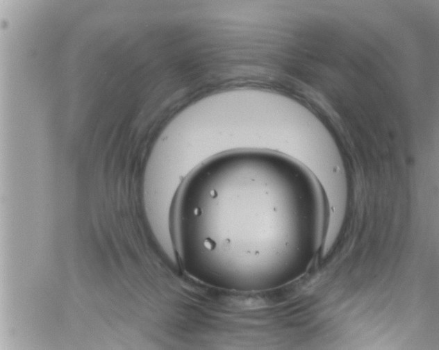 X0000061150073200512092010