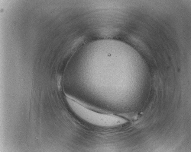 X0000061150075200512092010