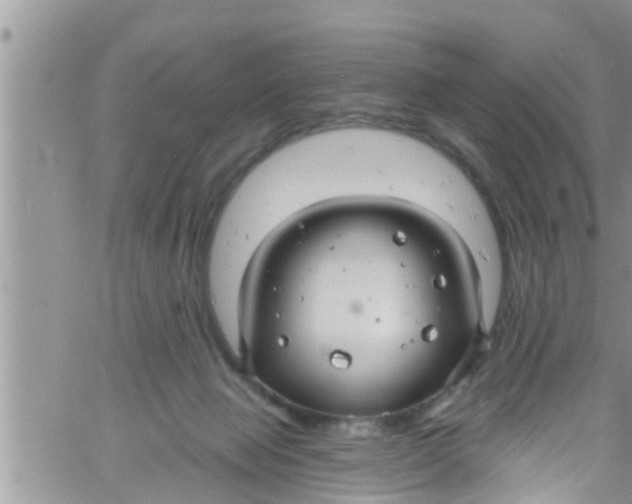 X0000061150077200512092010