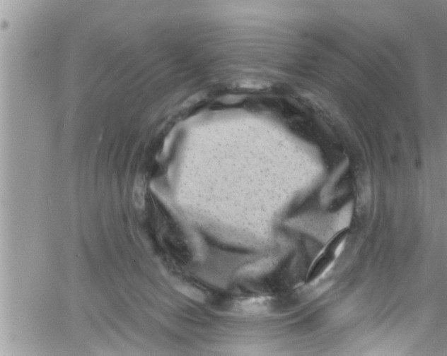 X0000061150078200512092010