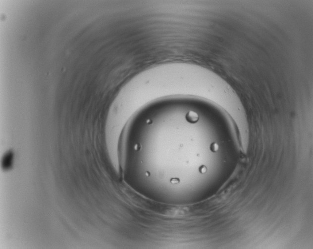 X0000061150080200512092010