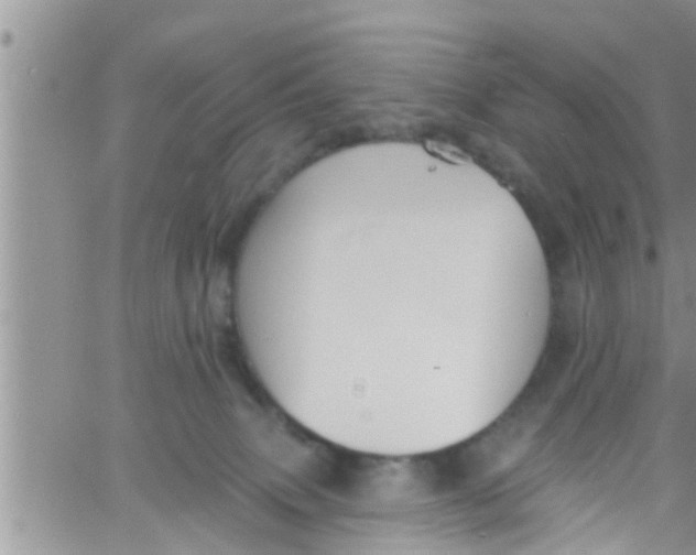 X0000061150083200512092010