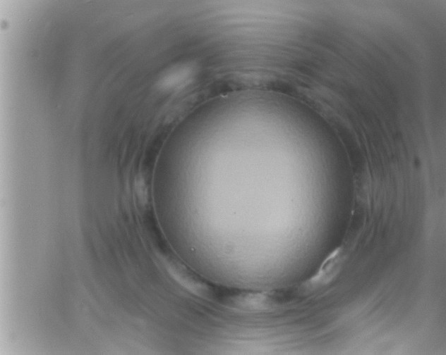 X0000061150086200512092010