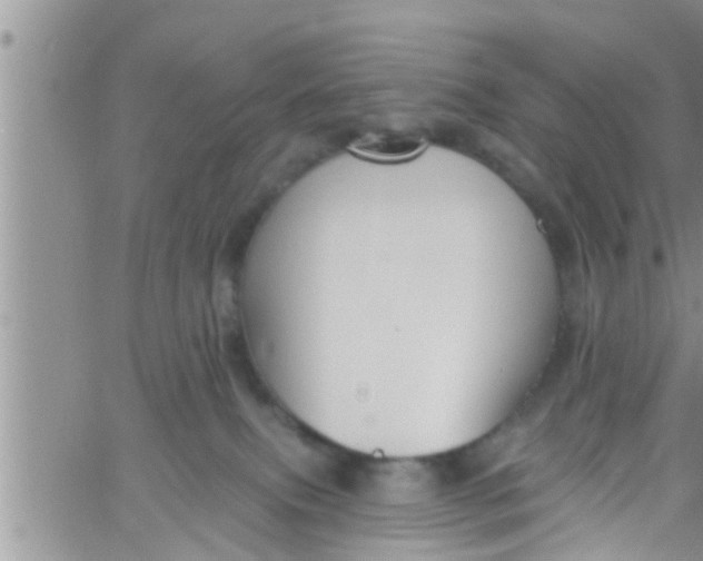 X0000061150087200512092010